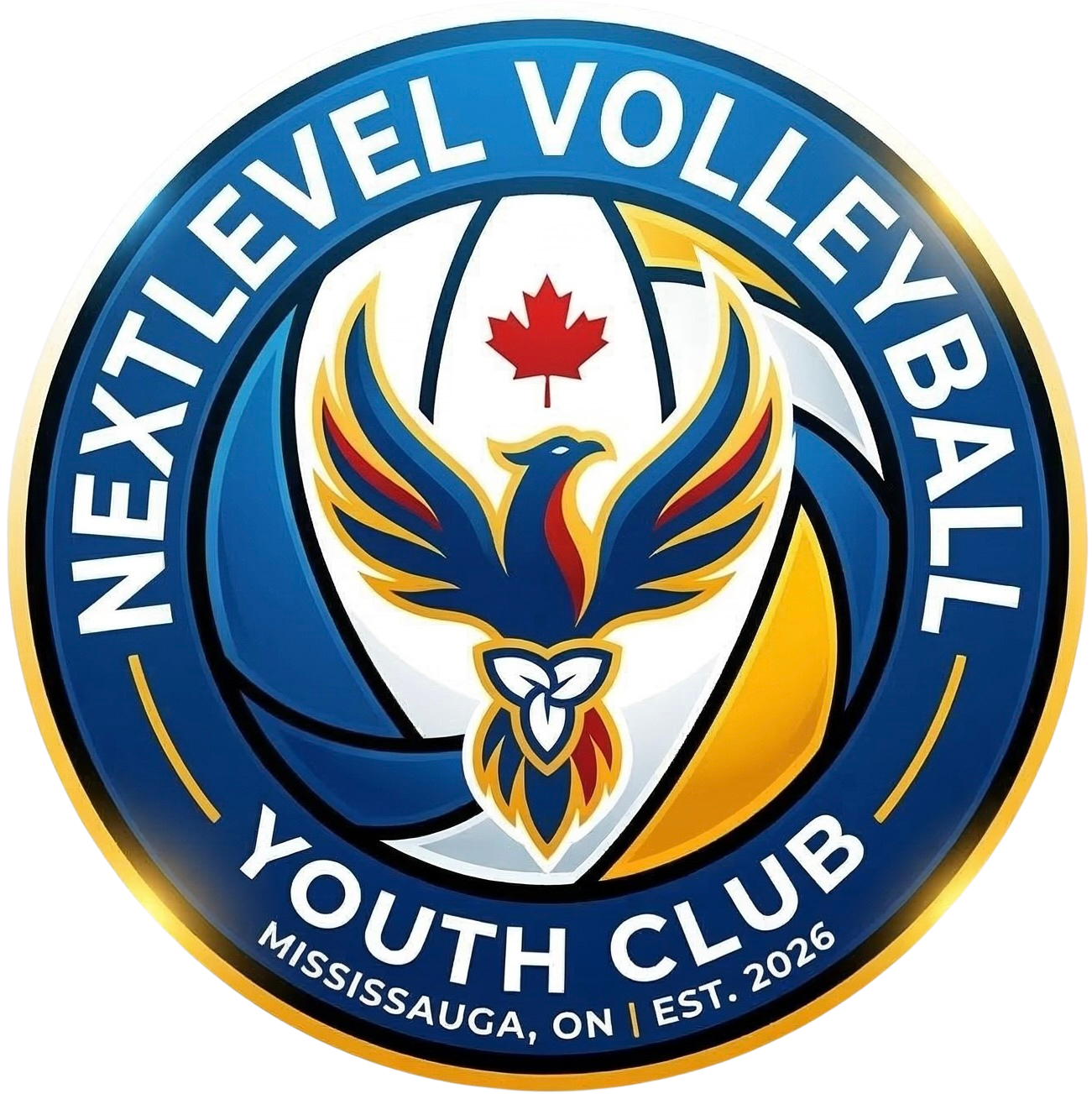 Nextlevel Volleyball Youth